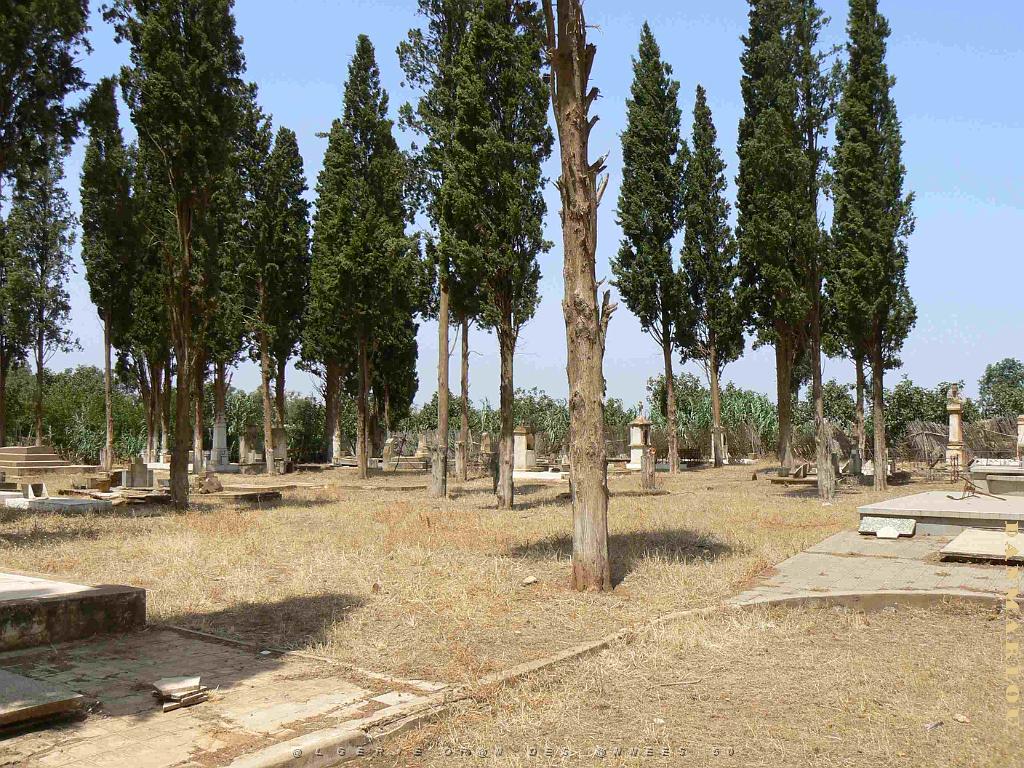 HAMMAM BOU HADJAR 2009 LE CIMETIERE   (44).jpg